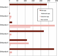 Image result for Habenaria nyikensis