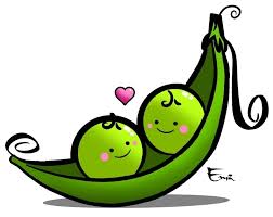 The best selection of royalty free pea pod vector art, graphics and stock illustrations. Slike Quotes Like Two Peas In A Pod