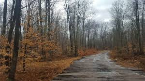 We did not find results for: State Game Lands 91 Wilkes Barre Pa 18702 Usa