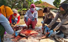 .sumber air baku dari air sungai atau air danau biasanya dilakukan dengan mengolah air melalui instalasi pengolahan air minum atau dalam bahasa sebelum didistribusikan kepada pelanggannya melalui jaringan perpipaan, air bersih yang dihasilkan didisinfeksi untuk membunuh bakteri yang. Cari Kepah Kijing Dalam Parit Banyak Dan Besar Cute766