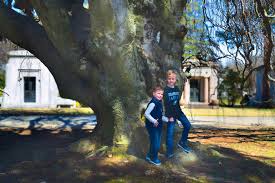 Isa board certified master arborist. Pennsylvania Big Trees John B Ward Co