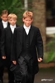 Royalty Free Stock Photos Illustrations Vector Art And Video Clips Prince Harry Photos Prince Harry Prince Harry And Meghan