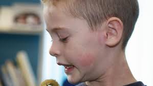 Snakes, spiders and lizards entertain the children at Gidea Park library