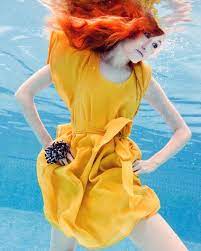 今日お金を借りるならどこがいい underwater photography underwater photographer underwater