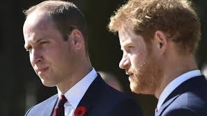 Prince William will not be 'foolish enough' to not invite Harry to  coronation despite frustrating…