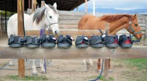Cavallo Horse Boots The Best Horse Hoof Boot When It Clicks