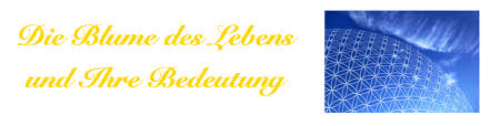Werde zum erfinder deines lebens mit dem. Blume Des Lebens Ausdrucken Kostenlos