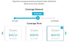 Life insurance isn't cheap, but there are a few things you can do to save money on life insurance. Policyadvisor Com Review Best Life Insurance Rates In Canada