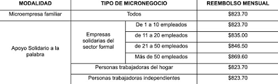El solicitante debe ingresar al sitio web del imss y hacer clic en el área que indica apoyo solidario a la palabra. Trabajadoras Del Hogar Inscritas Al Imss Podran Solicitar Creditos Poblanerias En Linea