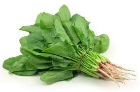 Can Rabbits Eat Spinach Yes But Beware Of Oxalates Rabbits Life