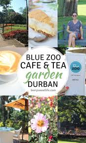Blue Zoo Cafe And Tea Garden Durban Berry Sweet Life