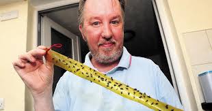 Westbury residents suffering plague of flies