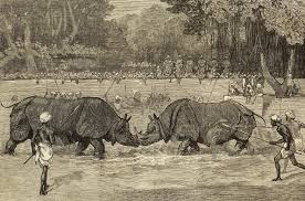 Records of the Rhinoceros in Captivity in Baroda