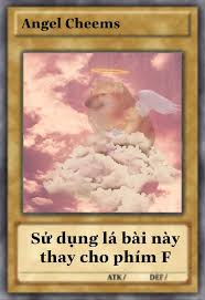 Angel Cheems - Sử dụng là bài này thay cho phím F - Ảnh chế meme