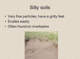 Pin By Ana Mohseni On Classes Riverbank Feelings Class