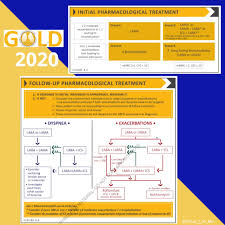 Sie wird bei jeder neuen domain hinterlegt und zeigt, dass die neue domain erreichbar ist. Twitter à¤ªà¤° Jamie Chua Christmas And New Year Came Too Early For Gold Copd Featuring The New Revised 2020 Copd Gold Guidelines Initial And Follow Up Treatment For Your Copd Patients Medicaleducation Copdgold