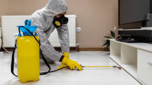 Sanitize and disinfectant service