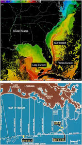 Once formed in the caribbean sea, warm current takes over the northwest. Gulf Stream An Overview Sciencedirect Topics