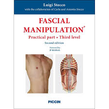 Image result for Musculoskeletal Manipulation