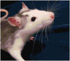 Pet Rat Mouse Counted Cross Stitch Pattern Chart Pdf Download By Stitching Addiction