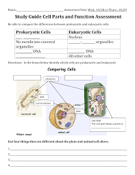 This quiz is all about what a typical animal cell is made up of, and how the various parts of a cell function. Study Guide Cell Parts And Function Assessment Prokaryotic Cells Eukaryotic Cells