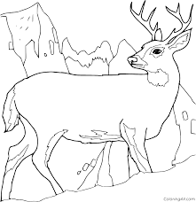 Jpg source click the download button to find out the full image of realistic deer coloring pages free, and download it in your computer. Realistic Deer On The Mountain Coloring Page Coloringall