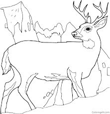 We have now placed twitpic in an archived state. Realistic Deer On The Mountain Coloring Page Coloringall