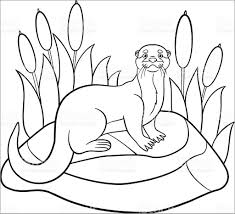 Maybe you would like to learn more about one of these? Printable Otter Coloring Page Coloringbay