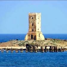 Image result for Selago barabei