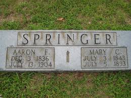 Mary Ann “Mary C” Carrell Springer (1843-1893)