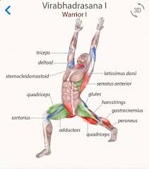 Veerabhadrasana Warrior 1 Strengthens Your Legs While Stretching Your Torso Shoulders And Abs It Is Named After The Yoga Muscles Yoga Anatomy Vinyasa Yoga