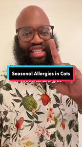 Cat Allergies in Cats
