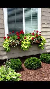 Check spelling or type a new query. Part Sun Part Shade Window Box Flowers Window Box Plants Window Box Flowers Planting Flowers