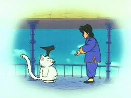 Super saiya densetsu and dragon ball online.it is changed to white in the anime. Korin Dragon Ball Wiki Fandom