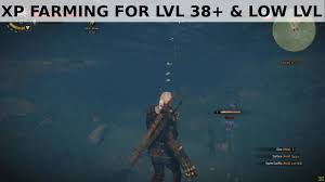 If you've been confused by the witcher 3: Witcher 3 Xp Farming For Low Lvl And Beyond Lvl 38 Youtube