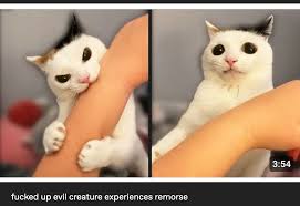 I draw things I like! — fucked up evil creature experiences...