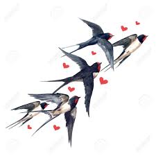 Bird In Hand Marketplace Watercolor Swallow Bird Composition Sponsored Swallow Watercolor Composition Bird Watercolor Bird Bird Illustration Bird Drawings