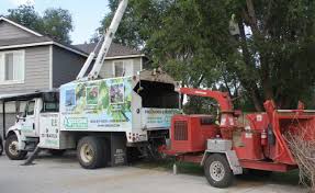 See more of tree services near you on facebook. Tree Service Near Me Reviews