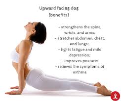 Upward Facing Dog Benefits Dog Benefits Upward Facing Dog Fit Board Workouts