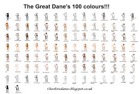 Great Dane Color Chart Great Dane Colors Great Dane Puppy