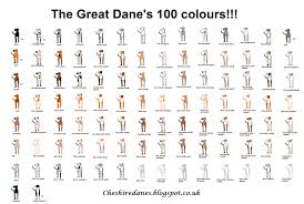 great dane color chart great dane colors great dane puppy