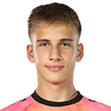 Profile Tim Schulz, SG Sonnenhof Großaspach: Info, news, matches and  statistics