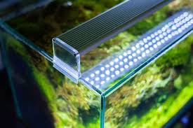 Before we get into all the steps below please watch this video by joey mullen the king of diy. Diy Led Aquarium Lights A Planted Aquarium Lighting Guide