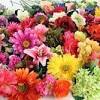 Great savings & free delivery / collection on many items. 1