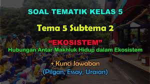 We did not find results for: Soal Tematik Kelas 5 Tema 5 Subtema 2 Hubungan Antar Makhluk Dalam Ekosistem Muttaqin Id