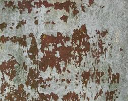 This week's textures are of peeling paint. Free Photo Peeled Paint Texture Concrete Contrast Grunge Free Download Jooinn
