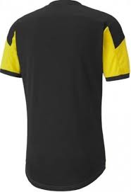 Get fast shipping and easy returns with your order! T Shirt Puma M Bvb Dortmund Trainings T 2020 21 Top4football Com