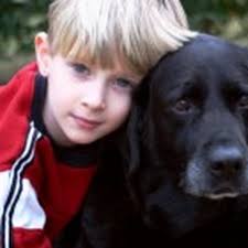 THE BEST 10 Cat Rescue near Chagrin Falls, OH