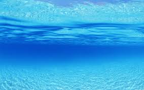 885095 Sea Pictures Jpg 1920 1200 Underwater Wallpaper Underwater Background Ocean Wallpaper