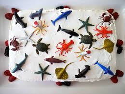 Regardless if you are searching a present for the sixteen year old's birthday, his christmas gift or to celebrate other joyous occasion, we got you covered. Kids Birthday Cake Ideas People Com People Com
